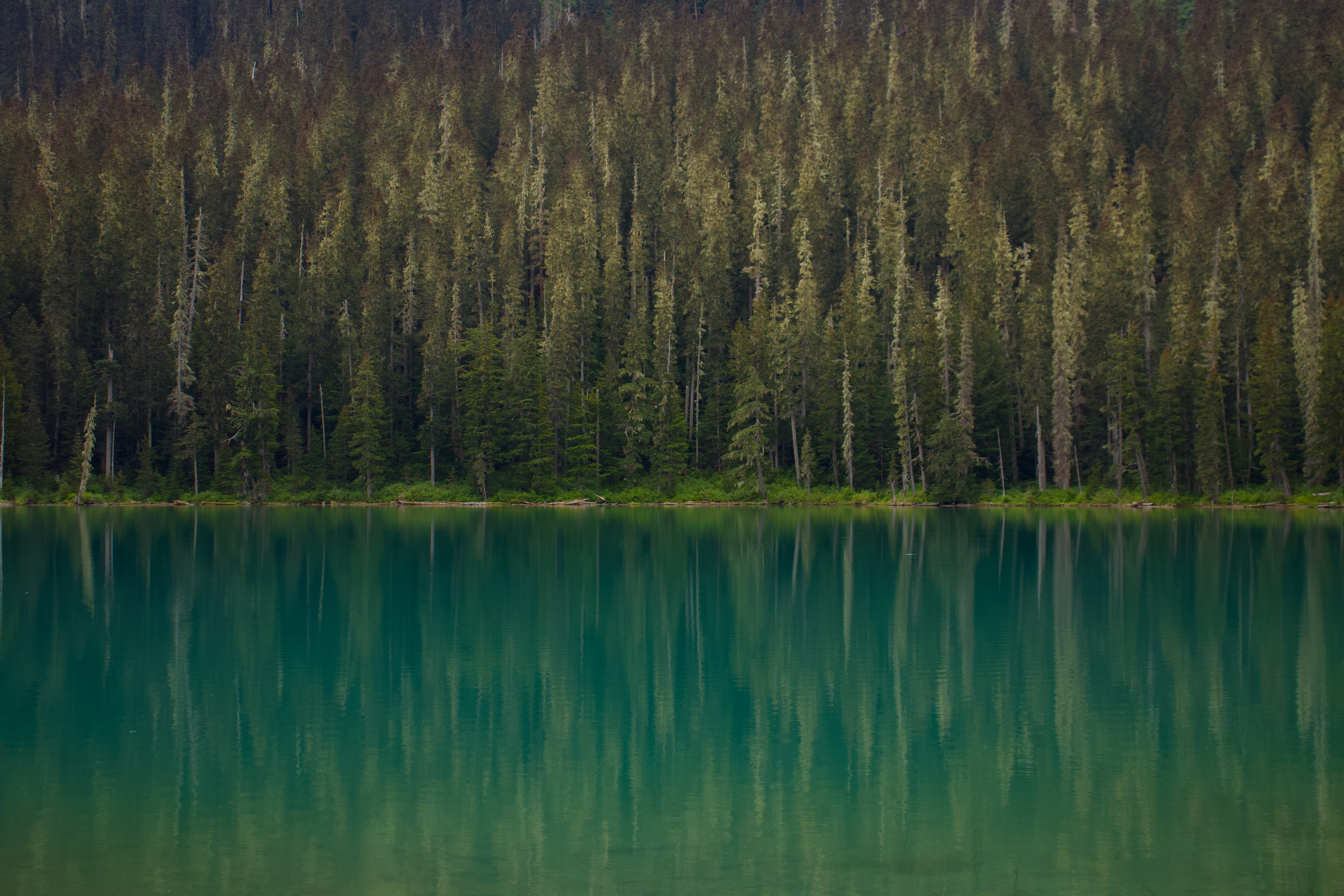 Turquoise glacial waters reflecting dense alpine spruce forest wall at Joffre Lakes Provincial Park